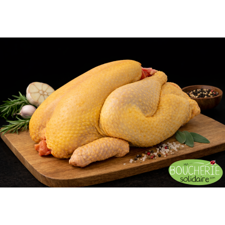 Poularde jaune – Origine France – Halal